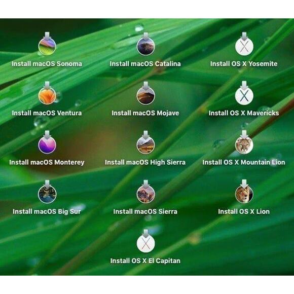 128GB USB-A 13-in-1 MacOS bootable installer, all 13 Apple Mac OS are included - Picture 7 of 8